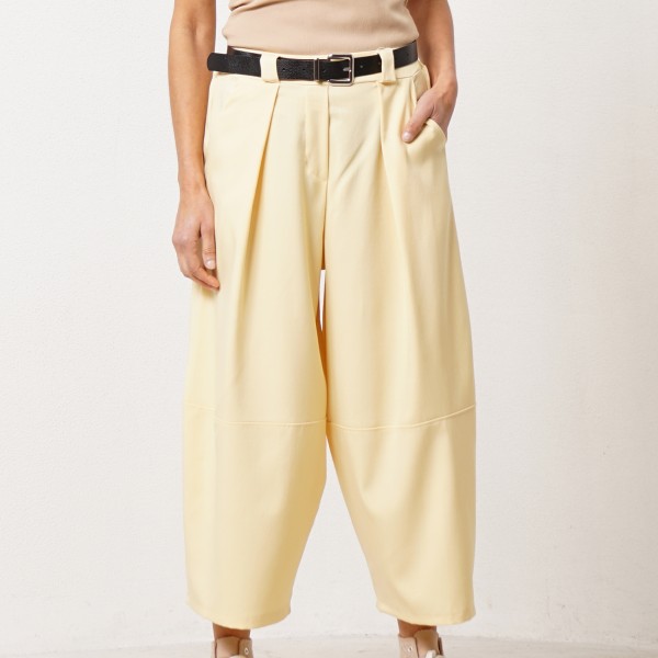 Balloon pants with pleats