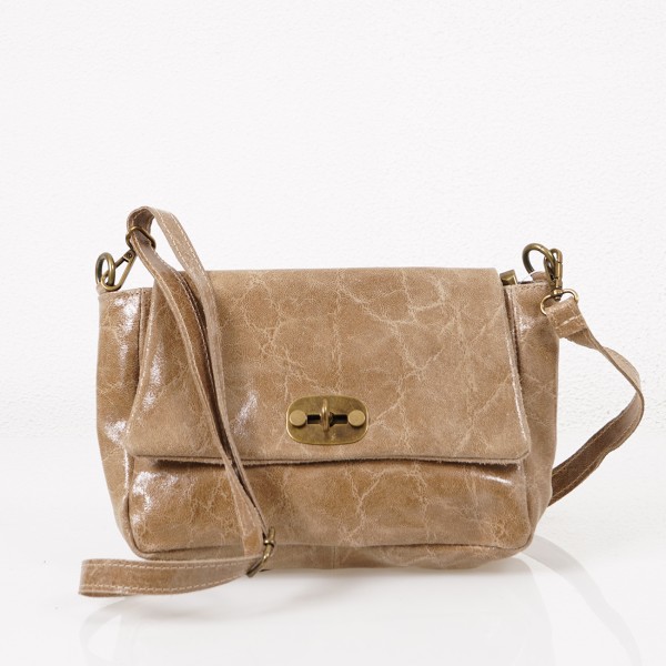 leather bag with metal clasp