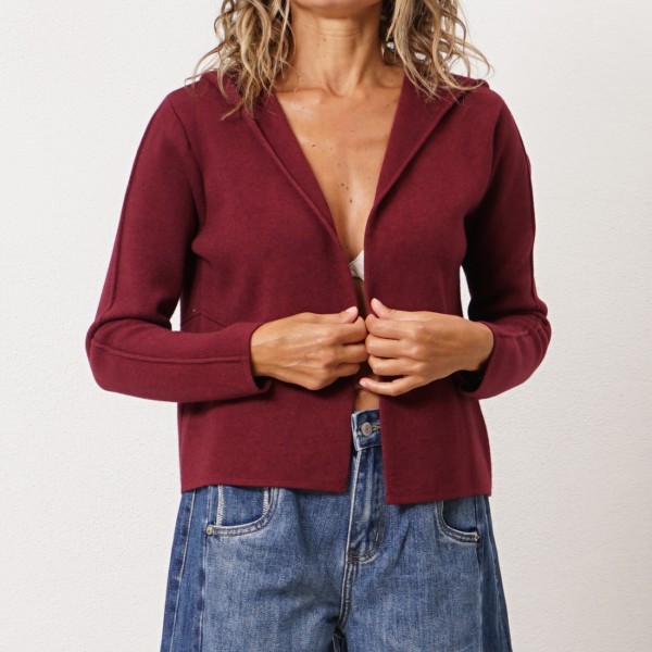 Double-knit hooded jacket (premium)