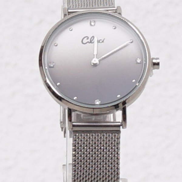 steel watch and bracelet