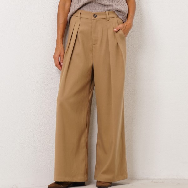 Wide-leg pants with pleats (premium)
