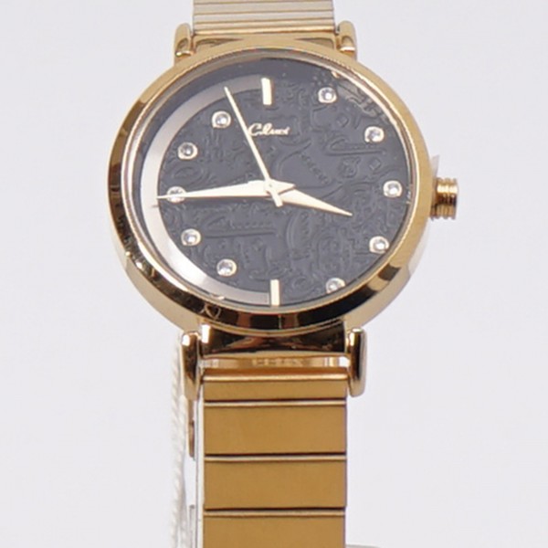 steel watch