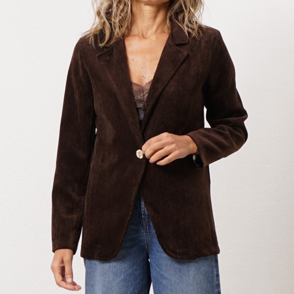 blazer em veludo (falso liso) 